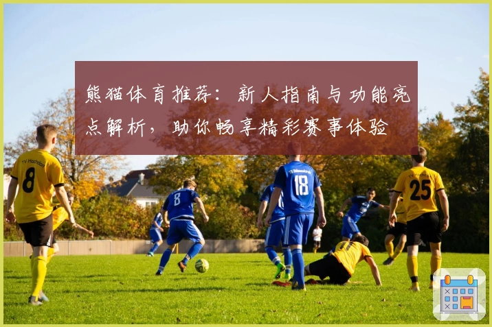 熊猫体育推荐：新人指南与功能亮点解析，助你畅享精彩赛事体验