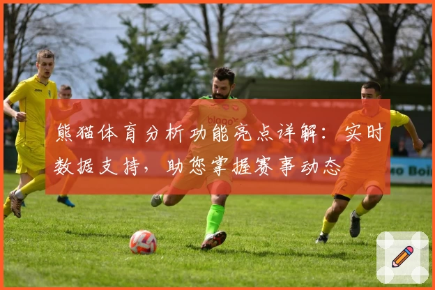 熊猫体育分析功能亮点详解：实时数据支持，助您掌握赛事动态