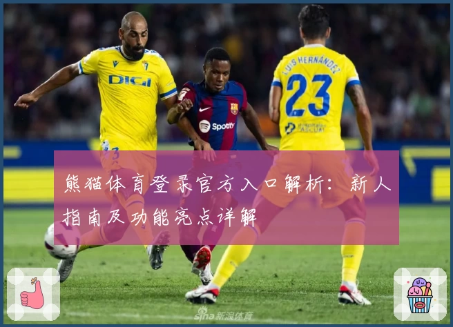 熊猫体育登录官方入口解析：新人指南及功能亮点详解