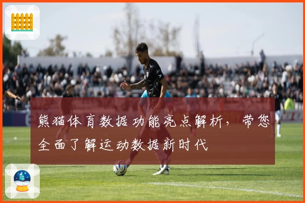 熊猫体育数据功能亮点解析，带您全面了解运动数据新时代