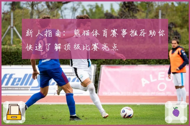 新人指南：熊猫体育赛事推荐助你快速了解顶级比赛亮点