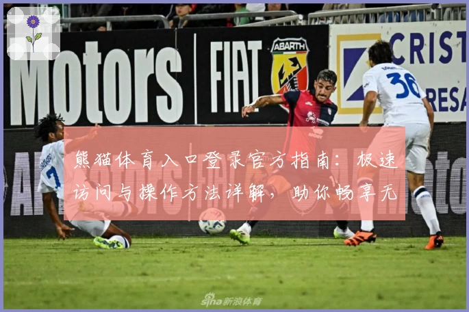 熊猫体育入口登录官方指南：极速访问与操作方法详解，助你畅享无缝使用体验