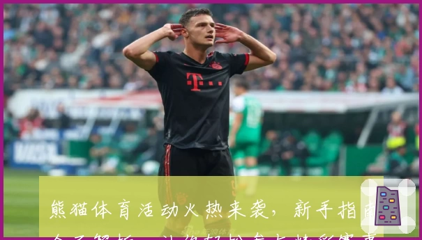 熊猫体育活动火热来袭，新手指南全面解析，让你轻松参与精彩赛事