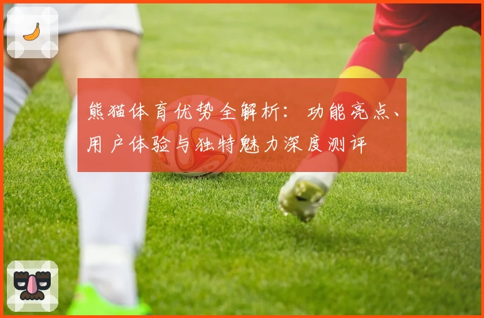 熊猫体育优势全解析:功能亮点、用户体验与独特魅力深度测评
