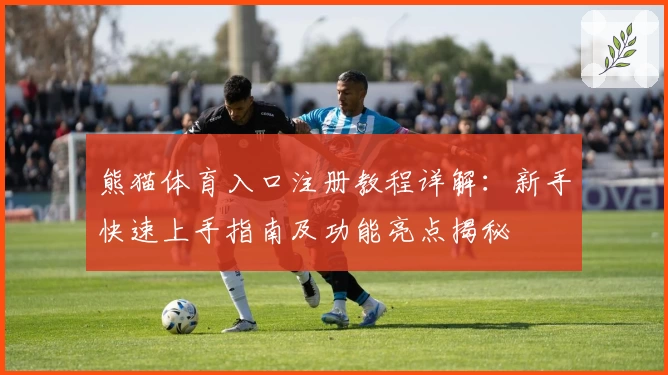 熊猫体育入口注册教程详解：新手快速上手指南及功能亮点揭秘