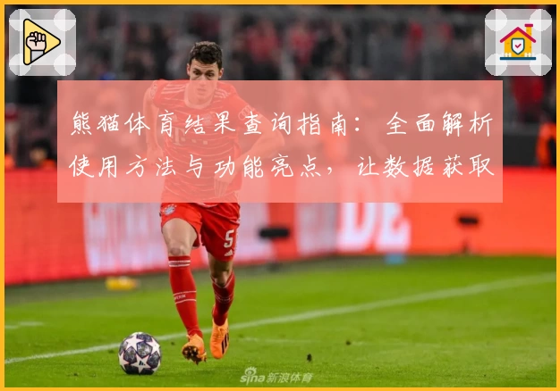 熊猫体育结果查询指南：全面解析使用方法与功能亮点，让数据获取更便捷