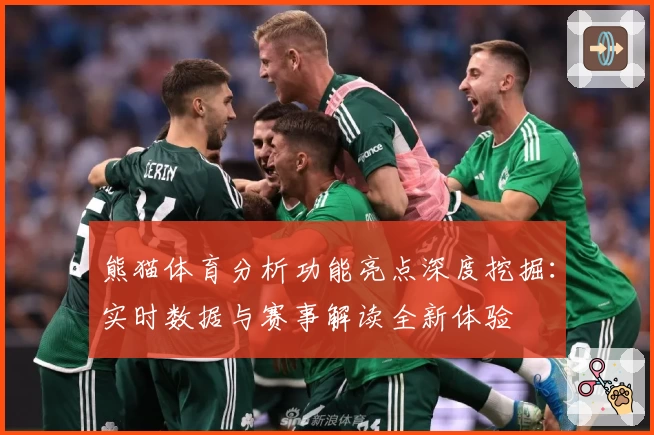 熊猫体育分析功能亮点深度挖掘：实时数据与赛事解读全新体验