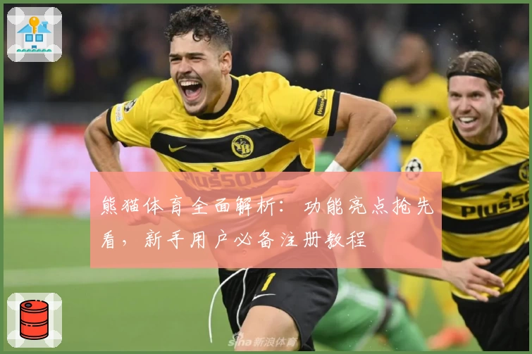 熊猫体育全面解析：功能亮点抢先看，新手用户必备注册教程