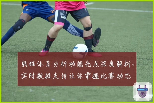 熊猫体育分析功能亮点深度解析，实时数据支持让你掌握比赛动态