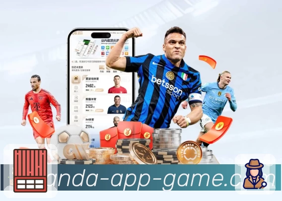 熊猫体育平台展示图